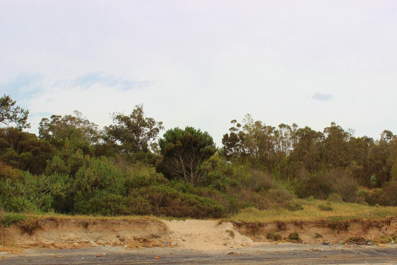 מלון Atlántida La Ponderosa מראה חיצוני תמונה