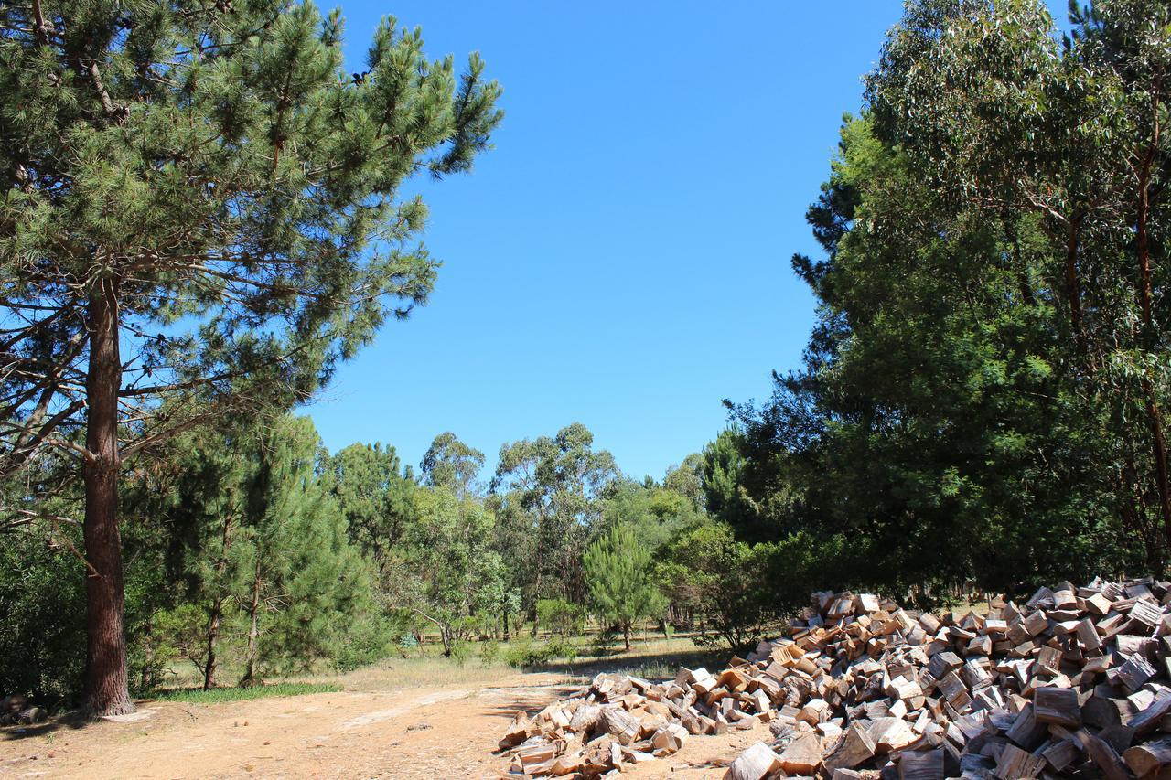 מלון Atlántida La Ponderosa מראה חיצוני תמונה